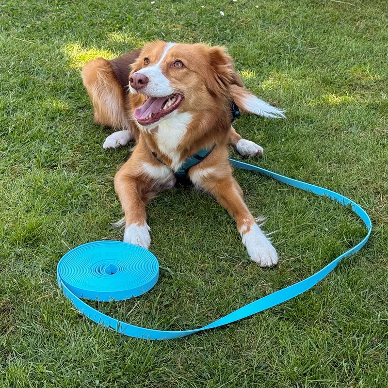 BluePet x CustomPaws BioThane® Schleppleine Basic