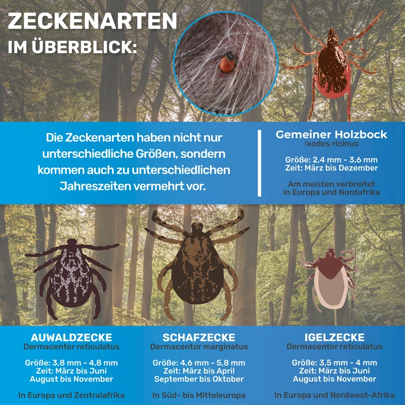 10 teiliges Set Zeckenentferner, Notfallset für Hunde & Katzen