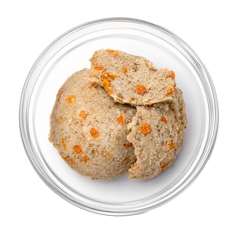 Schonkost Nassfutter – Insekten Hundefutter gastrointestinal
