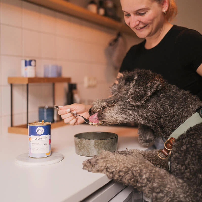 Schonkost Nassfutter – Insekten Hundefutter gastrointestinal