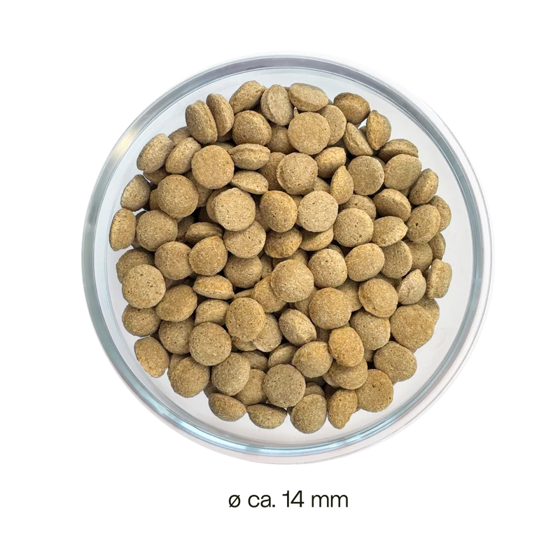 Schonkost Trockenfutter – Insekten Hundefutter gastrointestinal