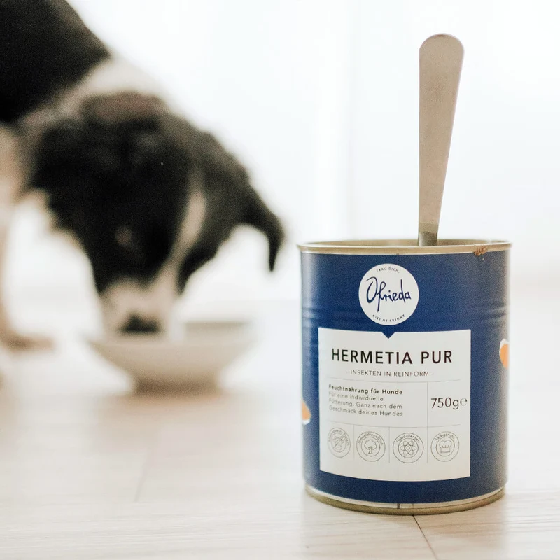Hermetia Pur Nassfutter – Insekten Single Protein