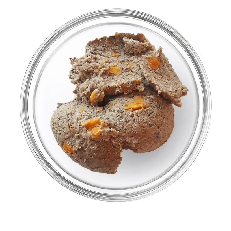 Patentrezept Nassfutter – Insekten Hundefutter hypoallergen