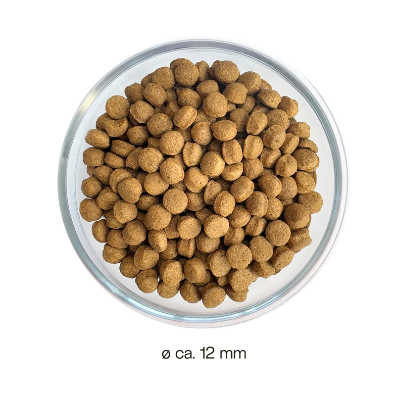 Patentrezept Trockenfutter – Insekten Hundefutter hypoallergen