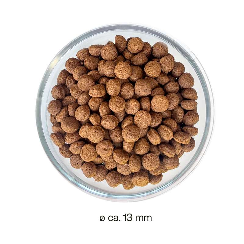 Alleskönner Trockenfutter – Insekten Hundefutter hypoallergen
