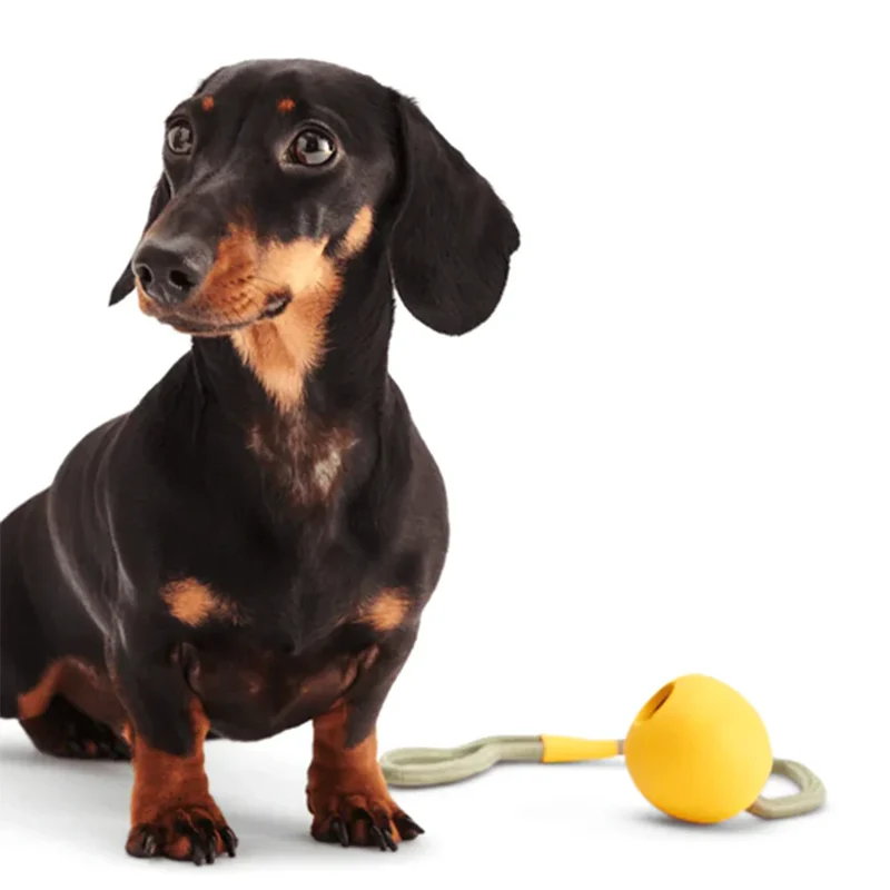 Beco Slinger Pebble – Hundespielzeug mit Seil