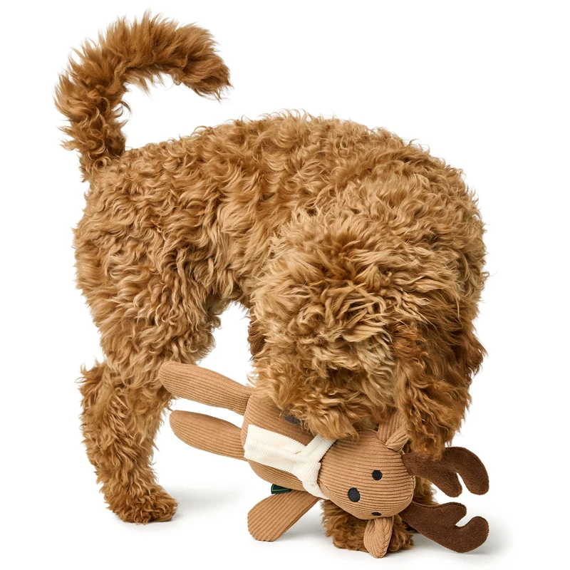 Hundespielzeug Sitka