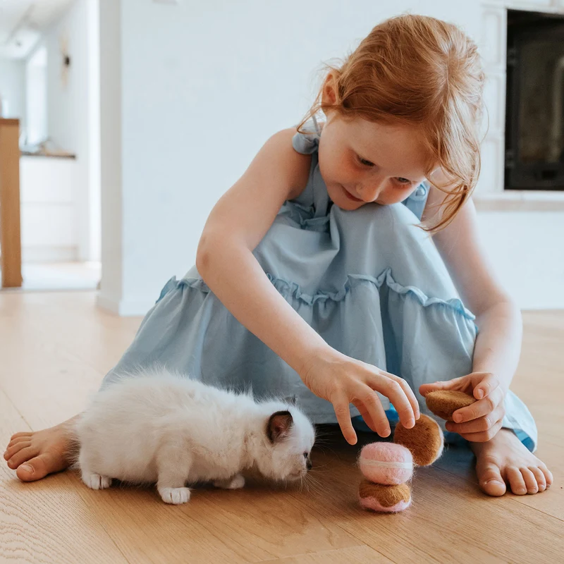 Katzenspielzeug Mystery Cat Toys Bakery