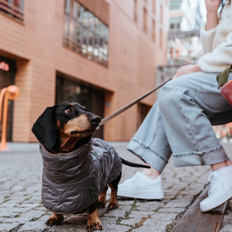 Hundemantel Lundby Dachshund