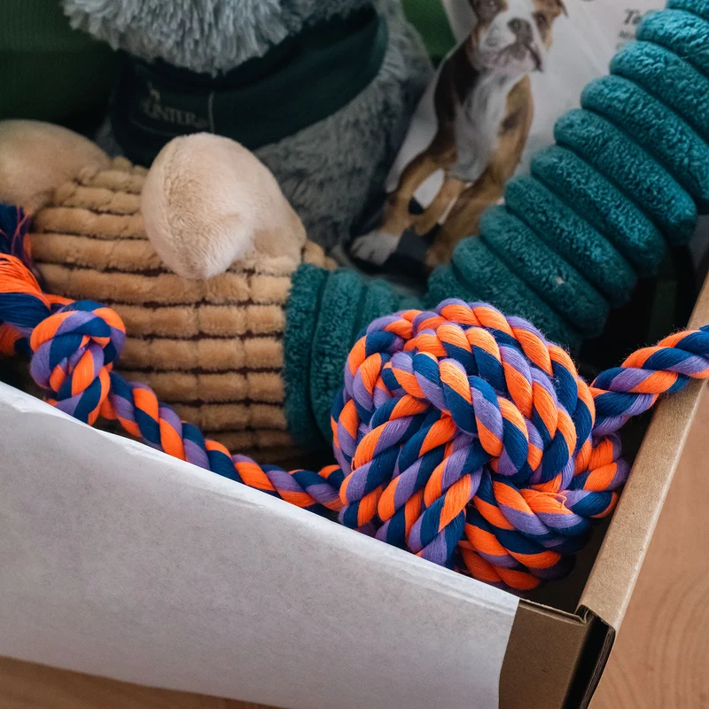Spielzeugbox Hund