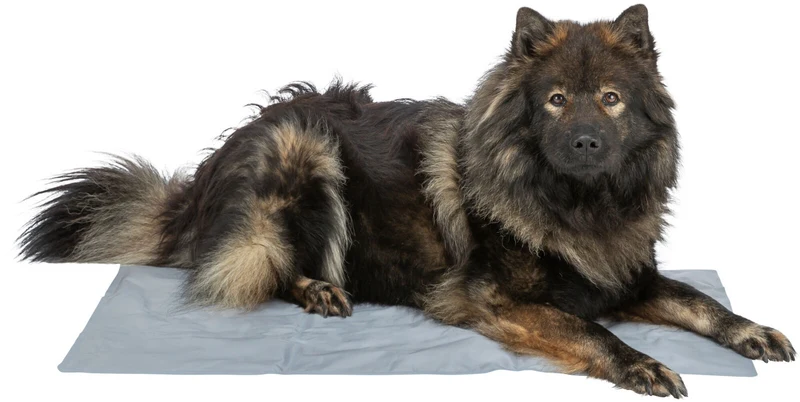 Kühlmatte für Hunde