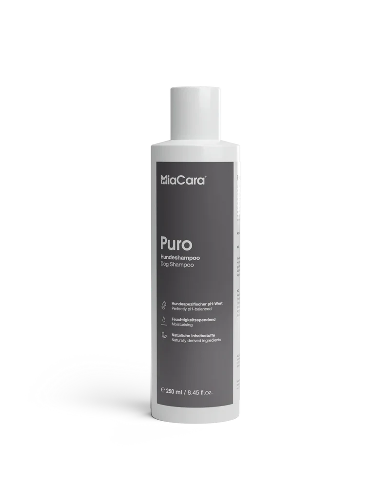 Shampoo