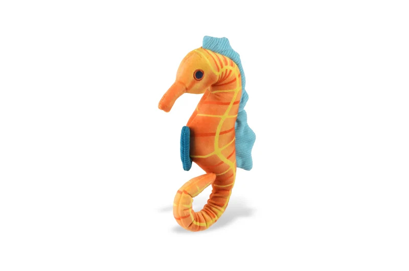 Seepferd