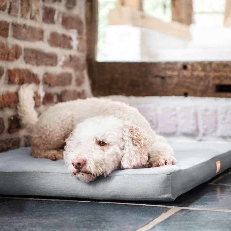 Hundematratze orthopädisch mit Fleece