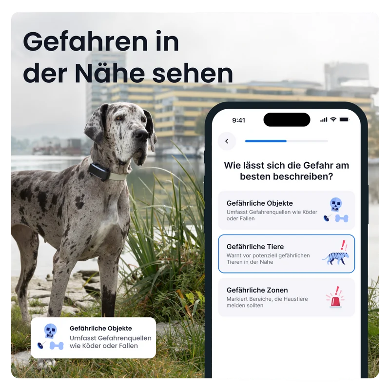 GPS Tracker Tractive Dog 6 XL
