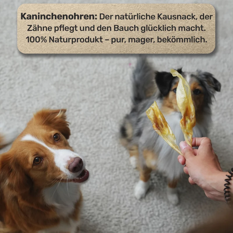 Kaninchen-Ohren ohne Fell 100g