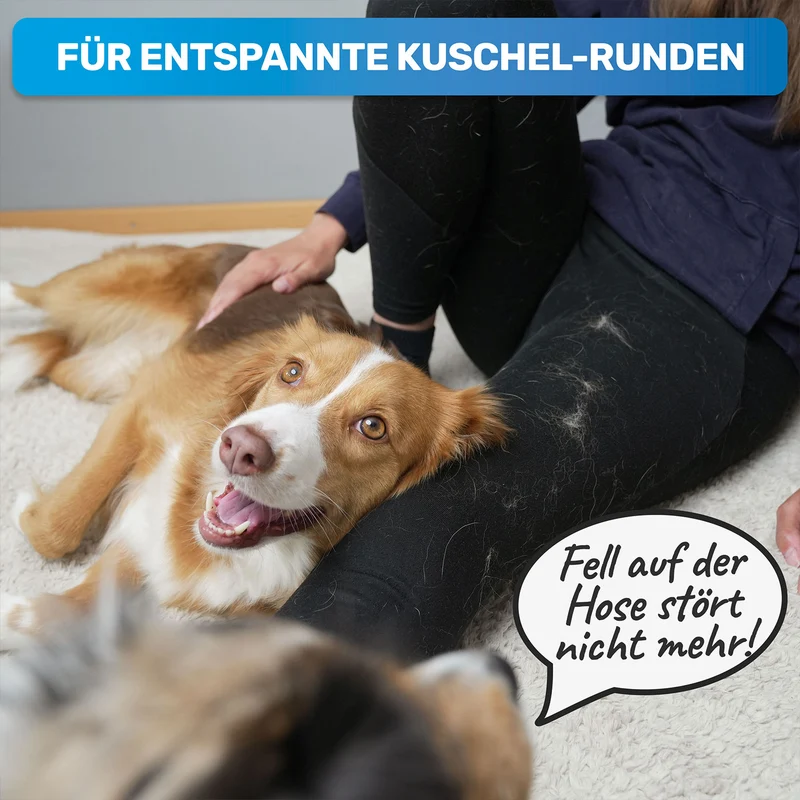 Fellhandschuh, Tierhaarentferner Handschuh, Fell Entferner Magnet gegen Katzenhaare & Hundehaare