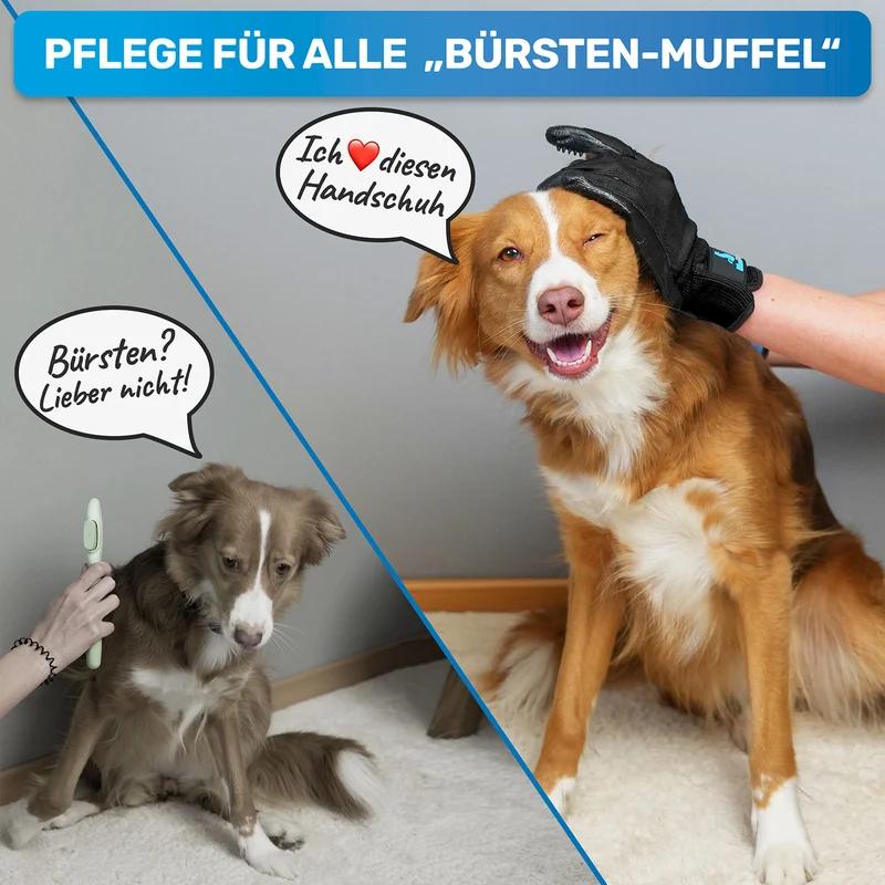 Fellhandschuh für Hunde, Katzen & Pferde – Fellpflege Handschuh zur Haarentfernung & Massage