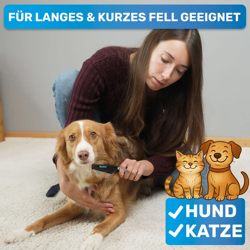 Flohkamm & Flohkarte als Ergänzung zu Flohmittel