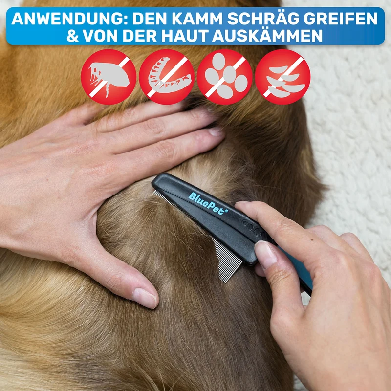 Flohkamm & Flohkarte als Ergänzung zu Flohmittel