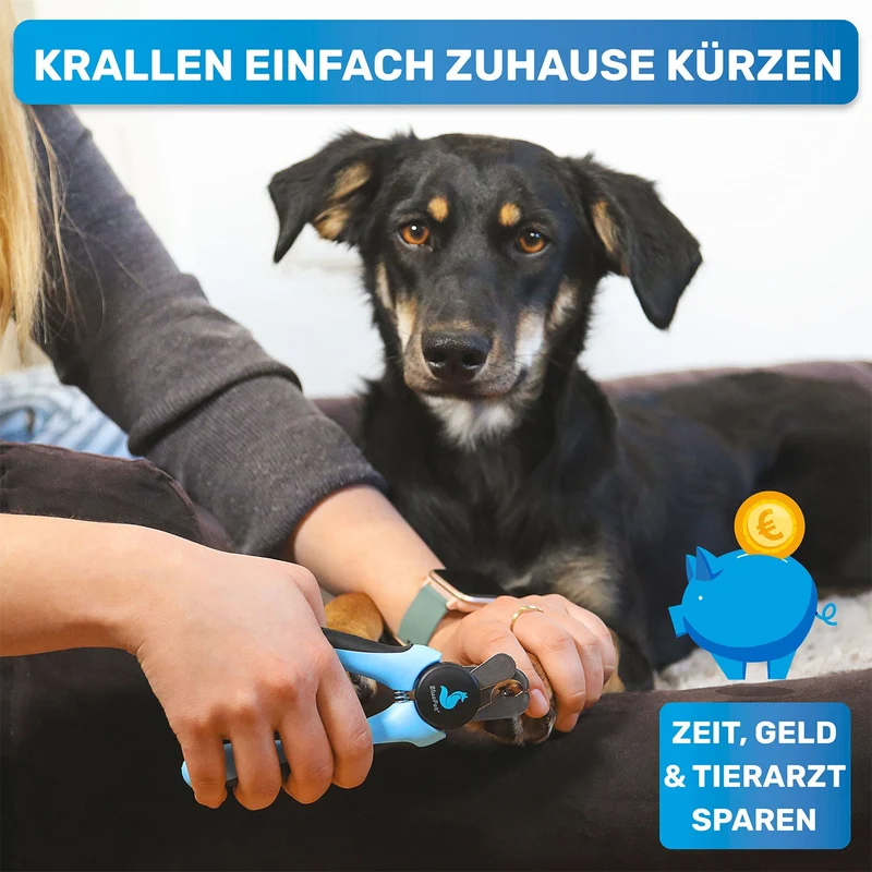Pfoten-Pflege-Set