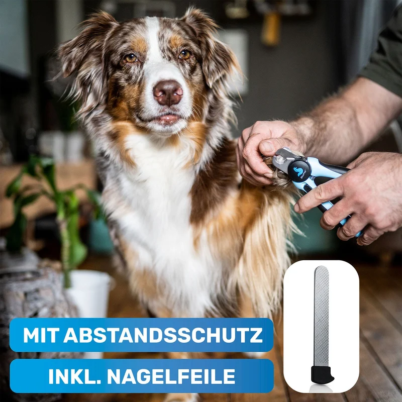 Pfoten-Pflege-Set