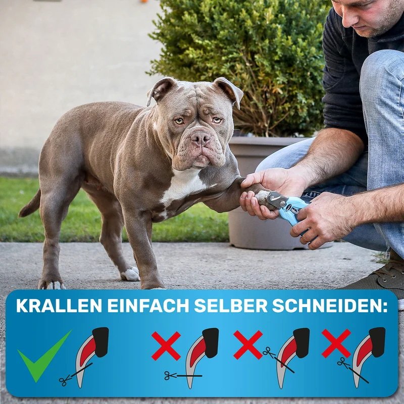 Pfotenpflege Spar Set - Krallenschere und Pfotenbalsam