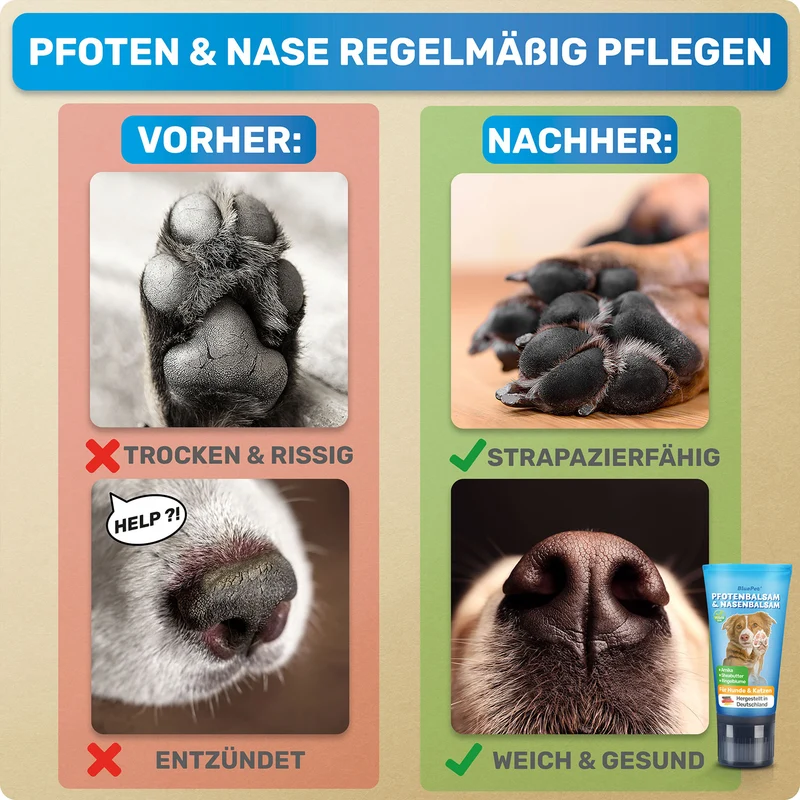 Pfotenpflege Set - Pfotenschaum Pfotenreiniger + Pfotenbalsam 50ml