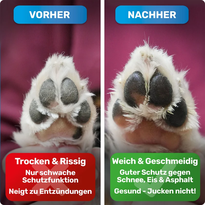 Pfotenbalsam & Handcreme für Hunde & Menschen