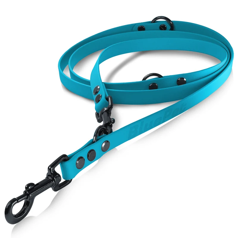 BluePet x CustomPaws BioThane® Hundeleine 3-fach verstellbar