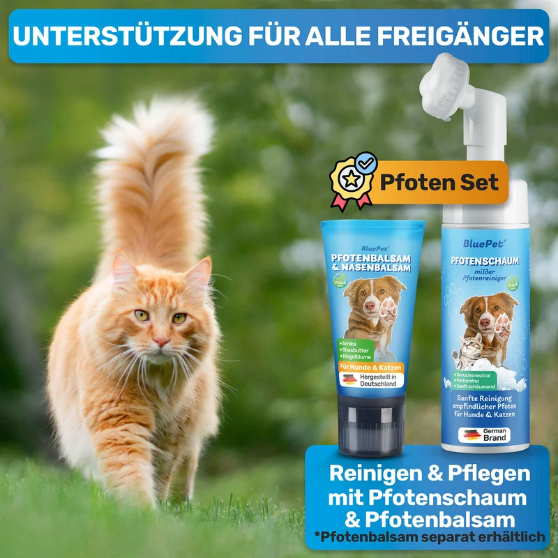 Pfotenschaum – Pfotenreiniger als sanfte Pfotenpflege