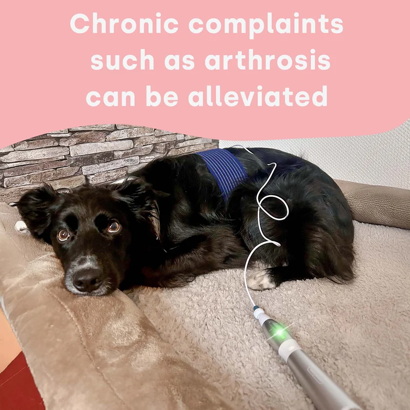 emmi-pet Physio Set PLUS UK