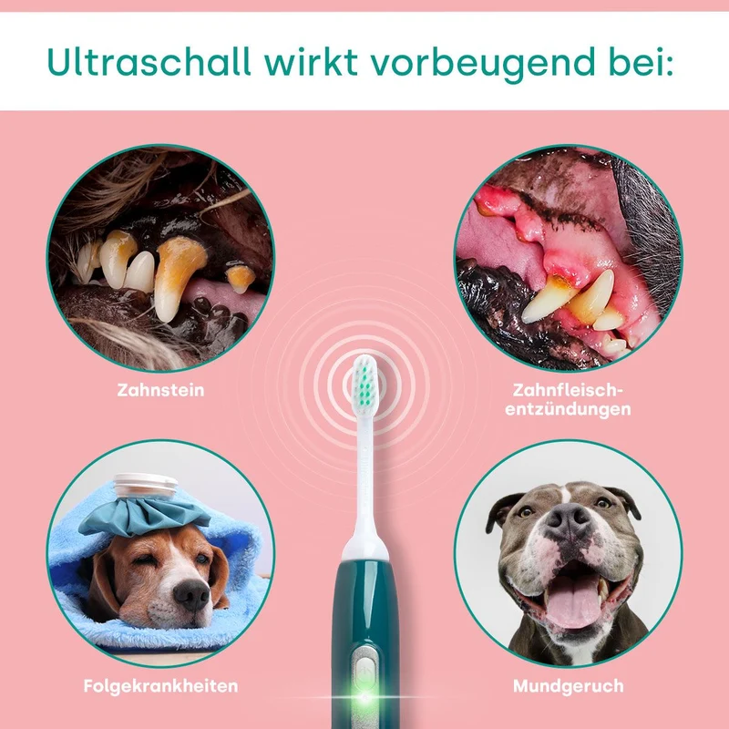 15999-emmi-pet 2.0 mit Netzadapter UK