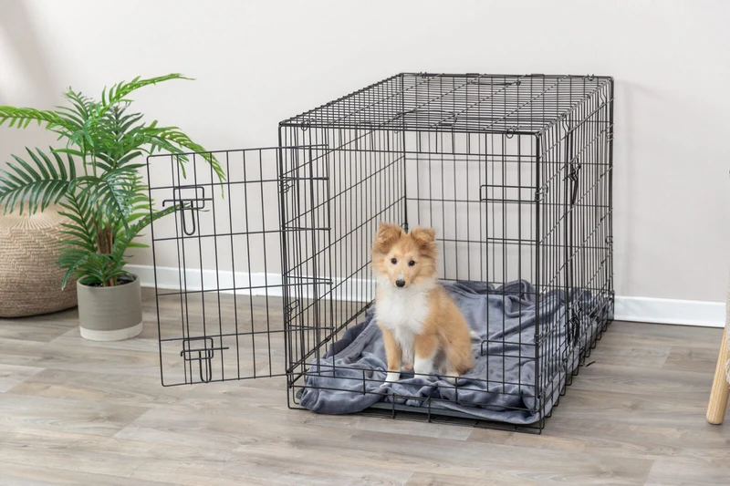 Hundebox Home