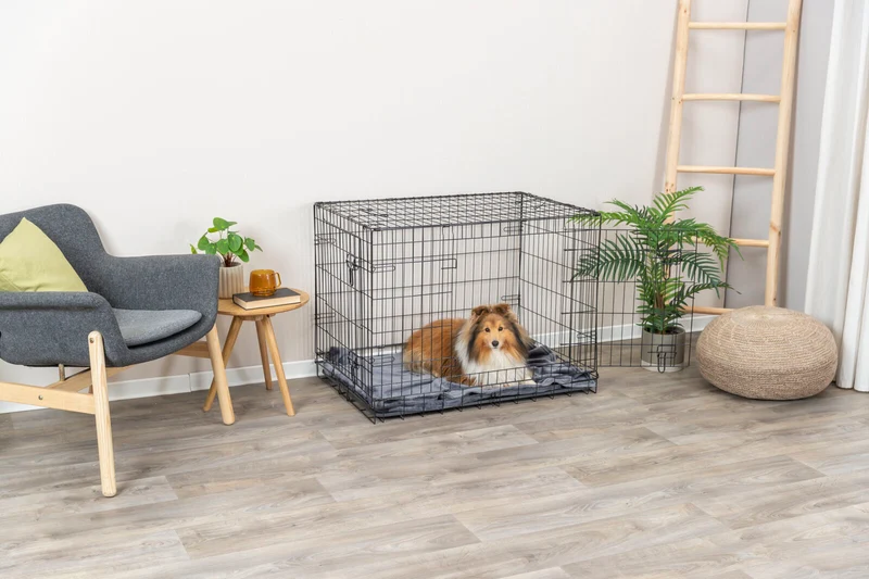 Hundebox Home