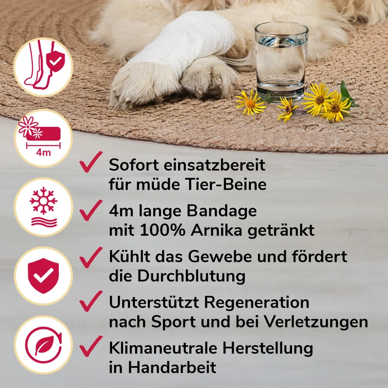 Arnikawunderwickel bei Verletzungen, zur Regeneration
