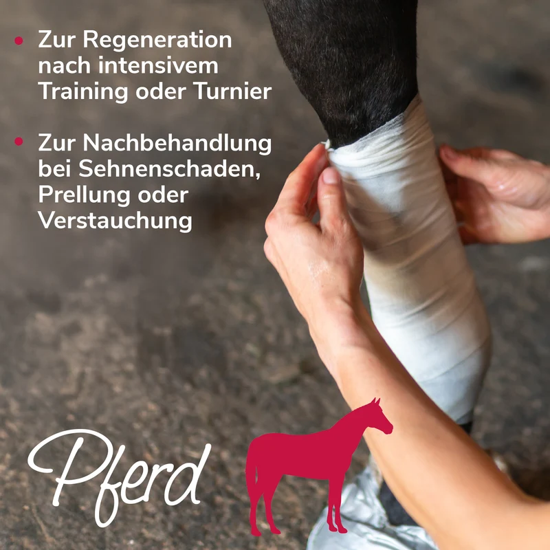 Arnikawunderwickel bei Verletzungen, zur Regeneration