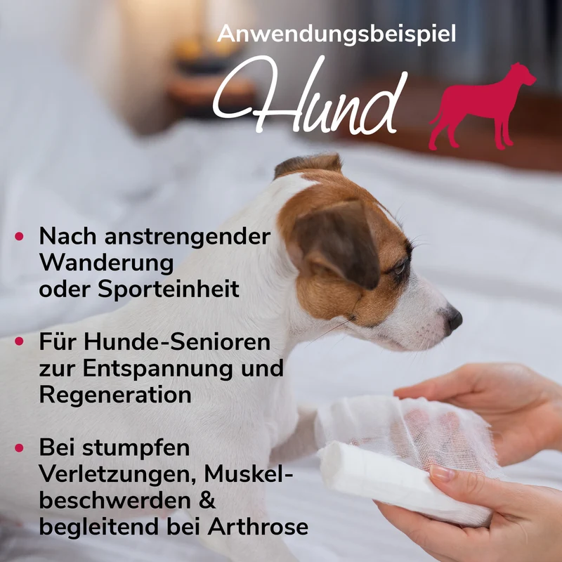 Arnikawunderwickel bei Verletzungen, zur Regeneration