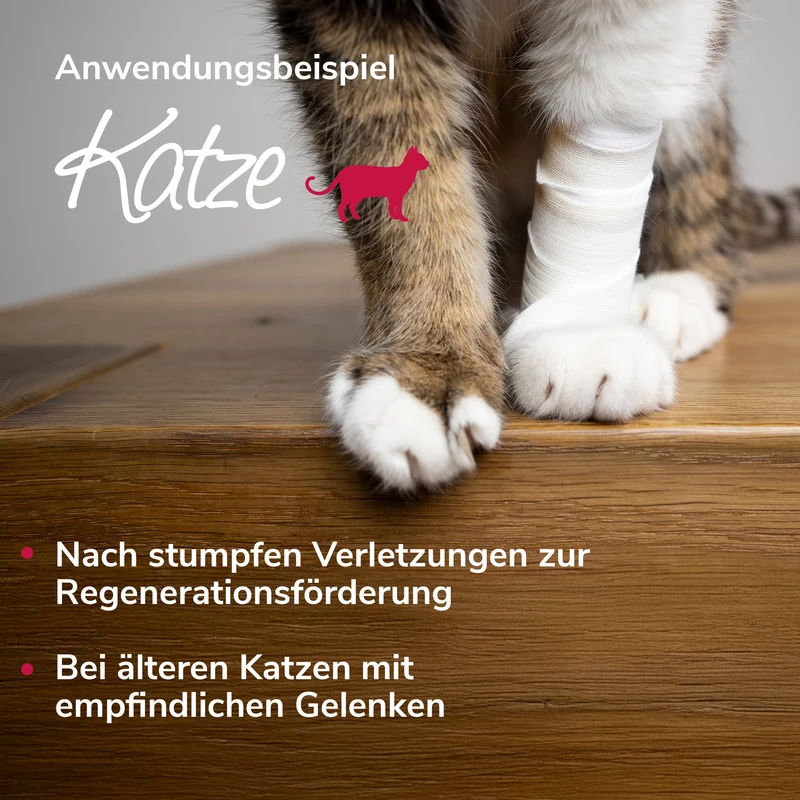 Arnikawunderwickel bei Verletzungen, zur Regeneration