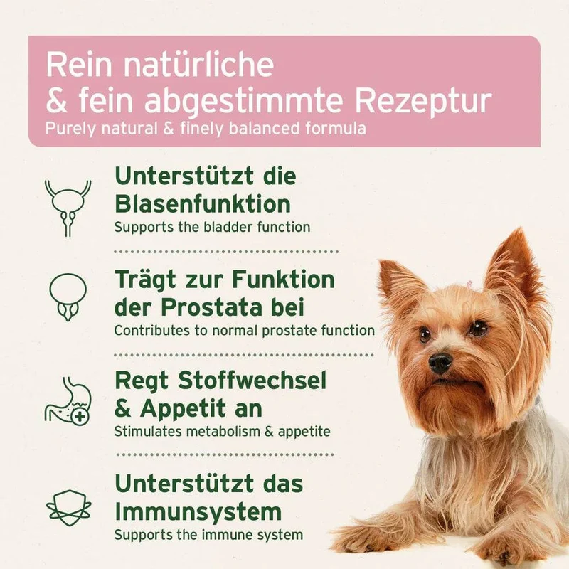 AniForte Blasen-Formel – für Hunde