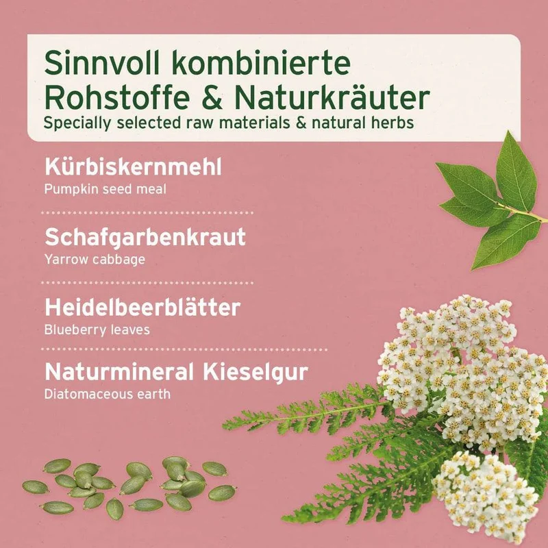 AniForte Blasen-Formel – für Hunde