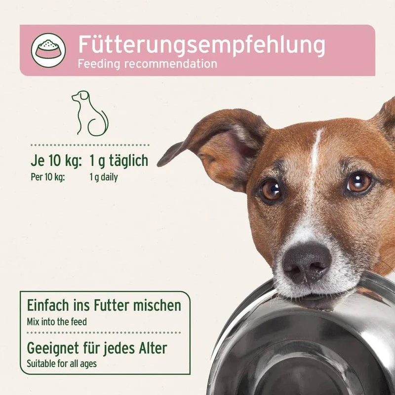 AniForte Blasen-Formel – für Hunde