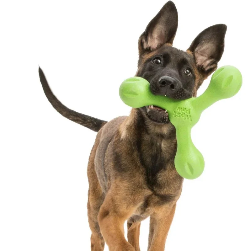 West Paw Skamp – schwimmfähiges Hundespielzeug