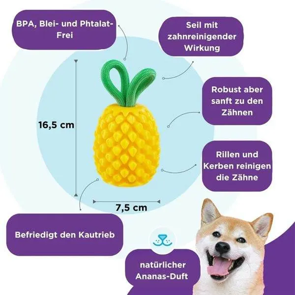 Planet Dog Dental Pineapple – Kauspielzeug & Zahnpflege