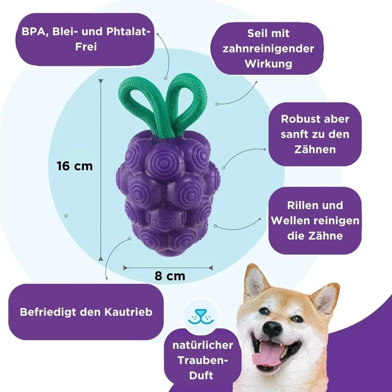 Planet Dog Dental Grapes – Kauspielzeug & Zahnpflege