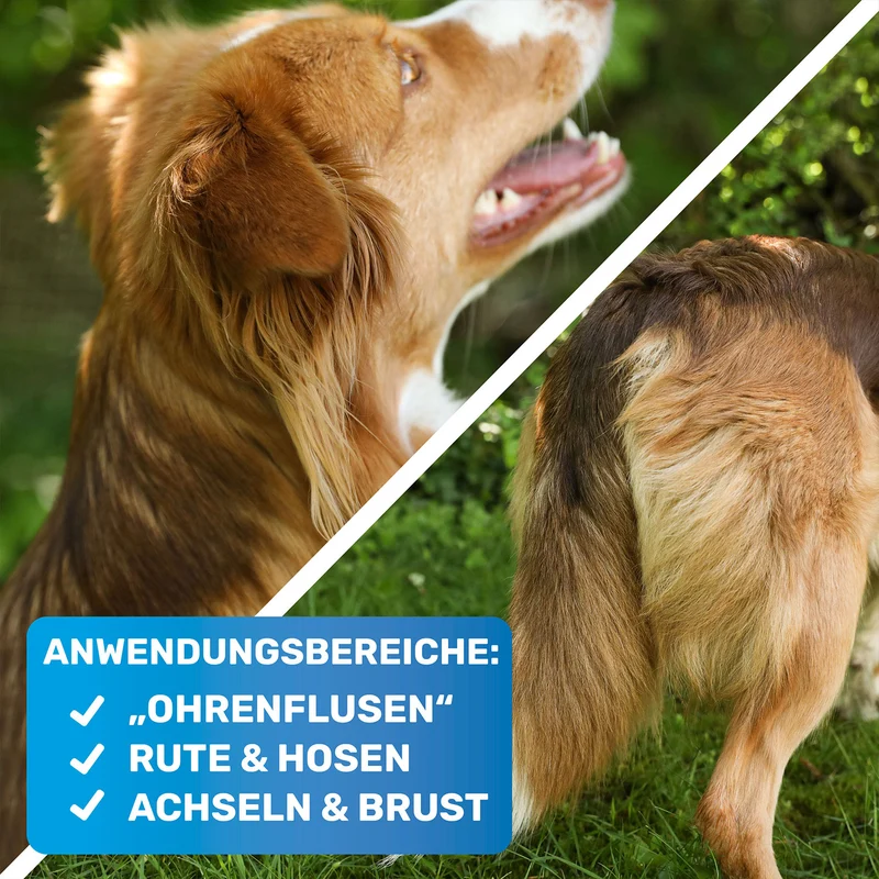 Entfilzer-Set