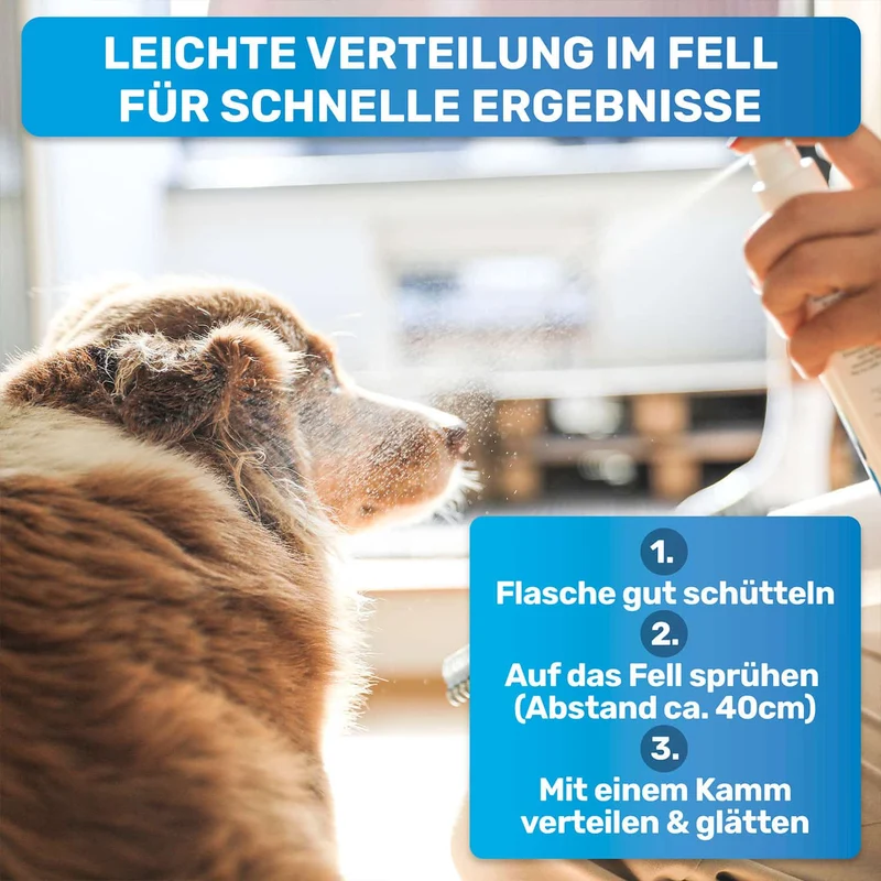 Entfilzer-Set