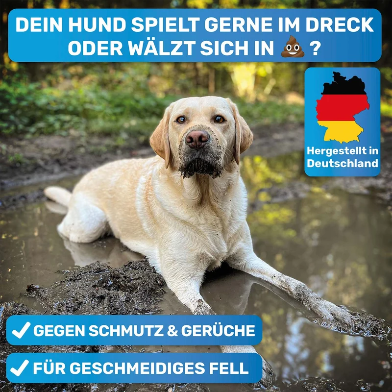 Hunde-Wellness-Pflegeset