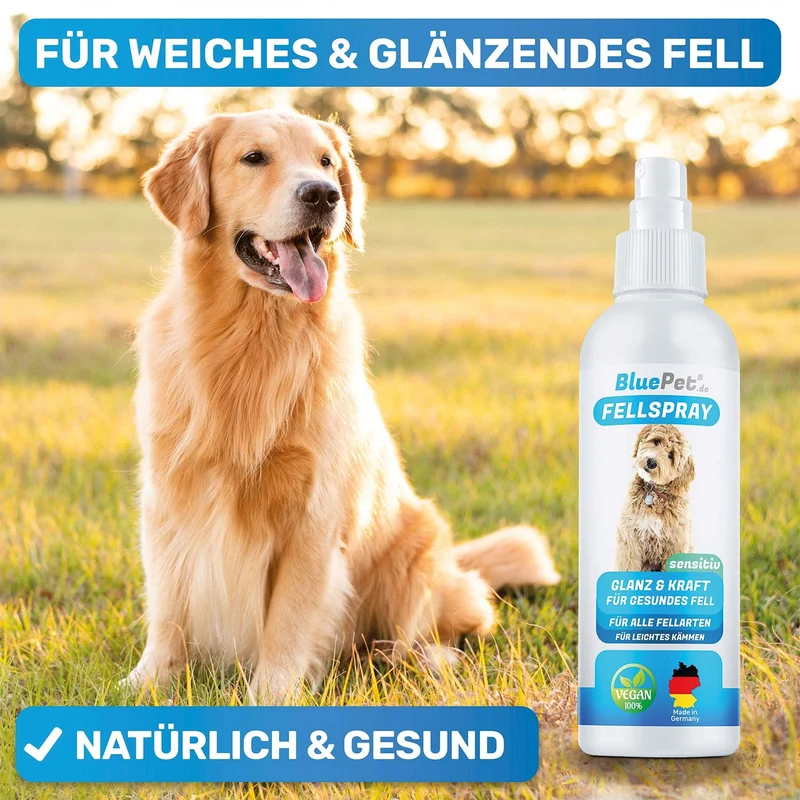 Hunde-Wellness-Pflegeset
