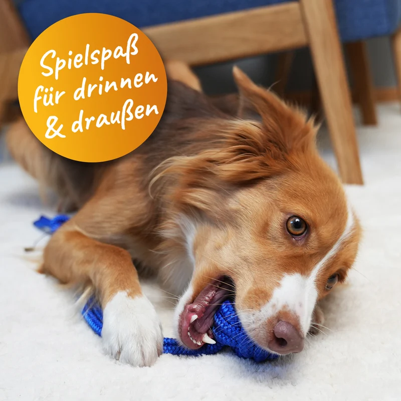 Nylon Wurfball für Hunde